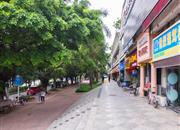 碧湖康馨园-环境绿化