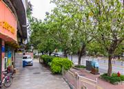 碧湖康馨园-环境绿化