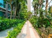 丽湾国际公寓-环境绿化