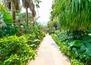 丽湾国际公寓-环境绿化