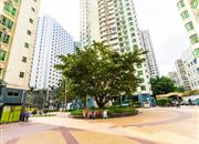 长怡花园-环境绿化