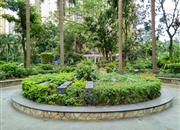 幸福海岸（三期）-环境绿化