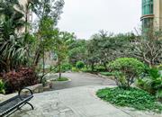 幸福海岸（三期）-环境绿化