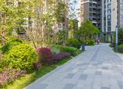 佳华领域广场(坂田观澜)-环境绿化