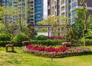 佳华领域广场(坂田观澜)-环境绿化