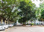 龙福一村-环境绿化