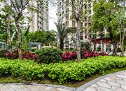 全盛御景湾花园-环境绿化