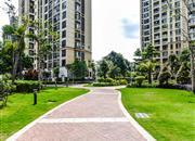 全盛御景湾花园-环境绿化