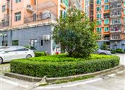 锦城星苑（一期）-环境绿化