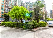 锦城星苑（一期）-环境绿化