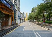 金地名座-环境绿化