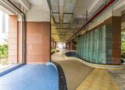 星桂园-环境绿化