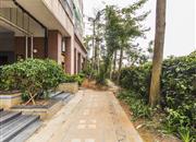 星桂园-环境绿化