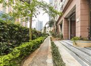 星桂园-环境绿化