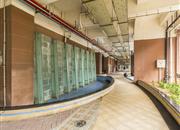 星桂园-环境绿化