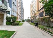 上百间-环境绿化