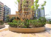 森泉雅轩-环境绿化