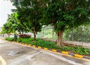 惠名花园-环境绿化