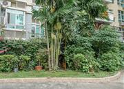 丰华苑-环境绿化