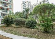 丰华苑-环境绿化