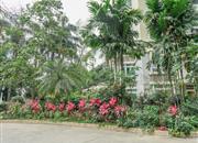 丰华苑-环境绿化