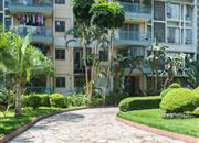 城中雅苑-环境绿化