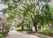 城中雅苑-环境绿化