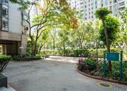 城中雅苑-环境绿化