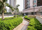 皇庭彩园-环境绿化