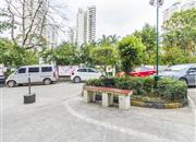 同乐大厦-环境绿化