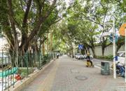 同乐大厦-环境绿化