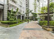 中信星光名庭-环境绿化