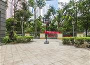 中信星光名庭-环境绿化