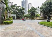 中信星光名庭-环境绿化