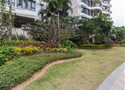 佳兆业山海苑-环境绿化