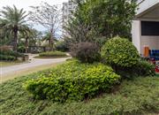 佳兆业山海苑-环境绿化