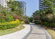 佳兆业山海苑-环境绿化