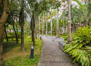 越众越海家园-环境绿化