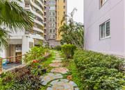 幸福家园-环境绿化