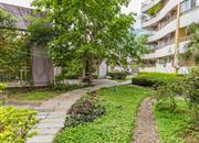 幸福家园-环境绿化