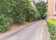 中房怡芬花园-环境绿化