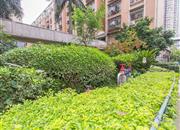 中房怡芬花园-环境绿化