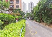 中房怡芬花园-环境绿化