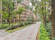 泰雅园-环境绿化