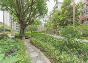 泰雅园-环境绿化