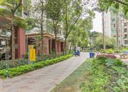 泰雅园-环境绿化