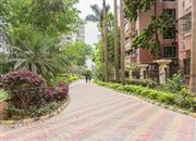 泰雅园-环境绿化