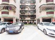 鸿进花园-环境绿化