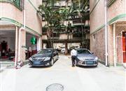 鸿进花园-环境绿化