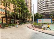 德兴大厦-环境绿化